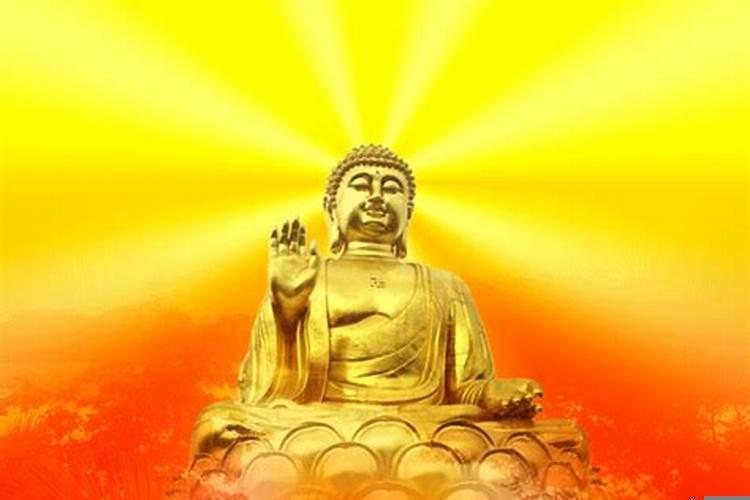 生肖马的晚年命数