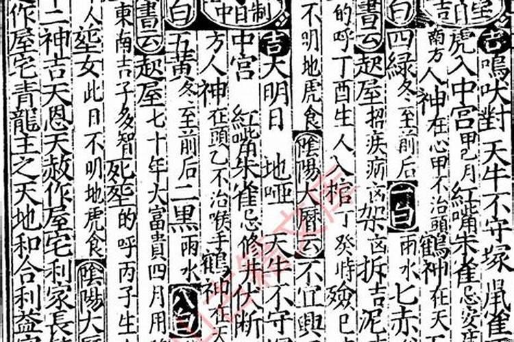 乾造戊辰甲子辛亥乙未