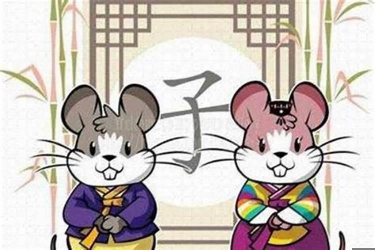 猪和鼠相配婚姻