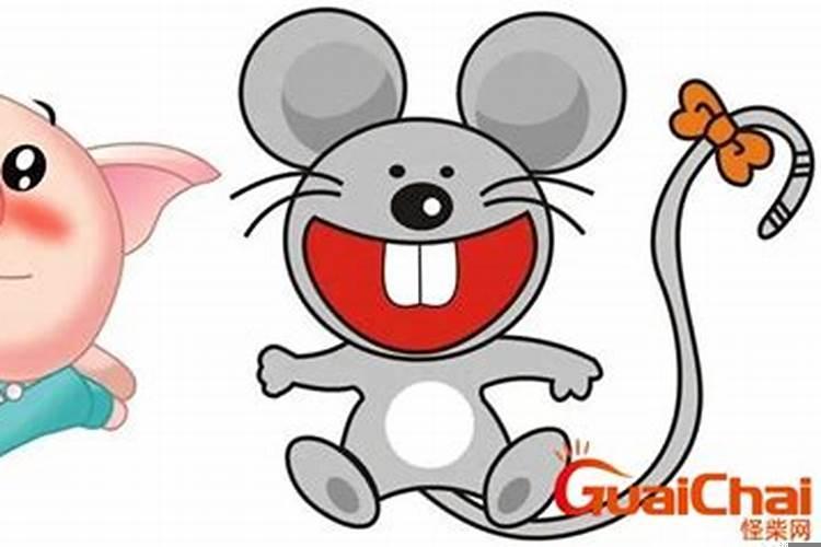 猪和鼠相配婚姻