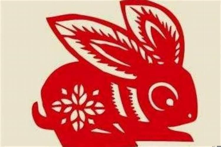 属兔的一生幸运数字