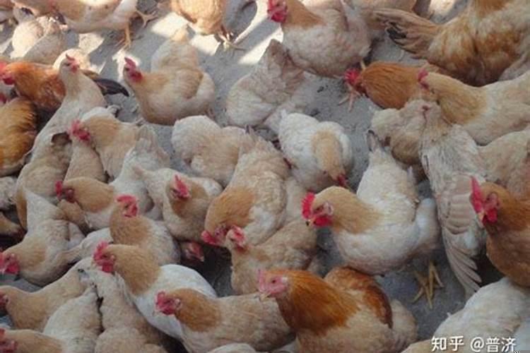 2025年属羊几月乔迁新居好