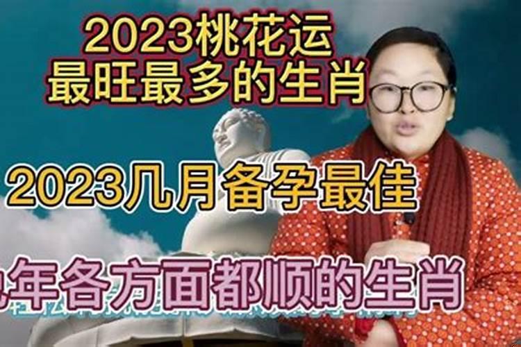 桃花运超旺的4大生肖