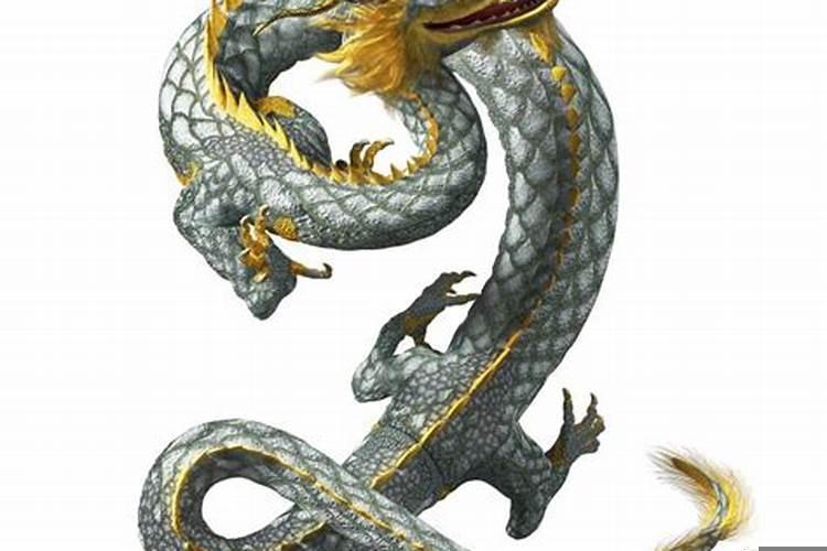 1988年二月初五属龙人命运