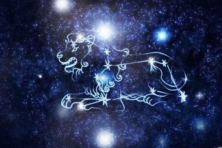 狮子男在感情方面