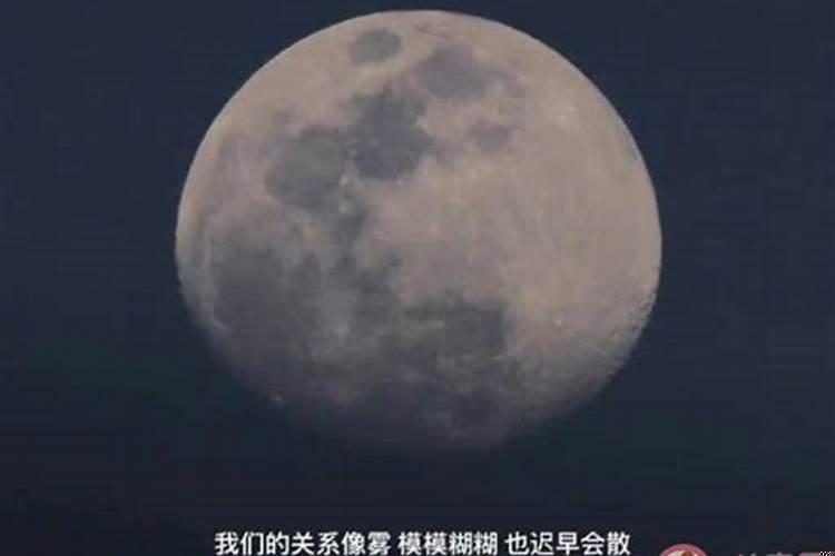 什么才算情投意合的人