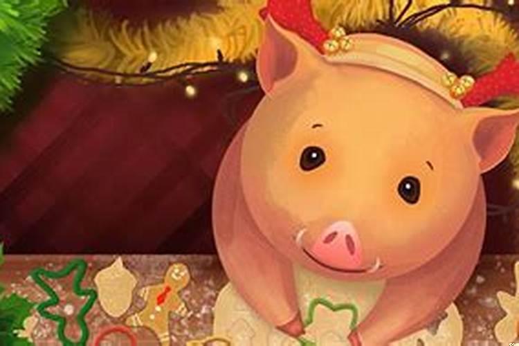 属猪的上上等婚配