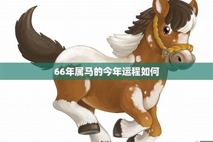 1966年属马一生运势