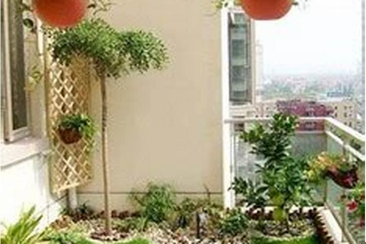 阳台上种什么植物好