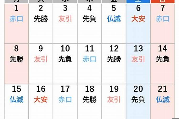 2025年12月11号是什么日子