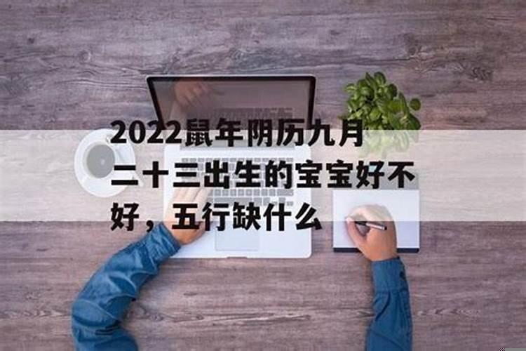 2025年3月份出生的宝宝是什么命