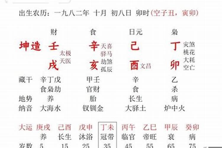 丁卯甲辰辛卯己丑八字