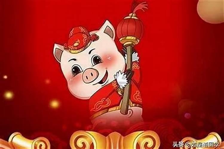 属猪的今年破财吗