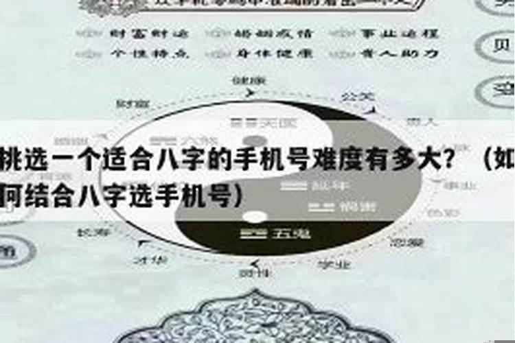 如何根据八字命理选手机号