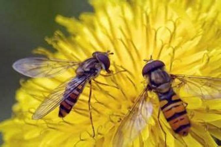 婚姻宫受冲是什么意思