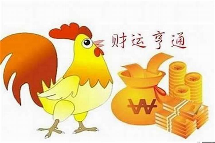 生肖鸡今年的运势