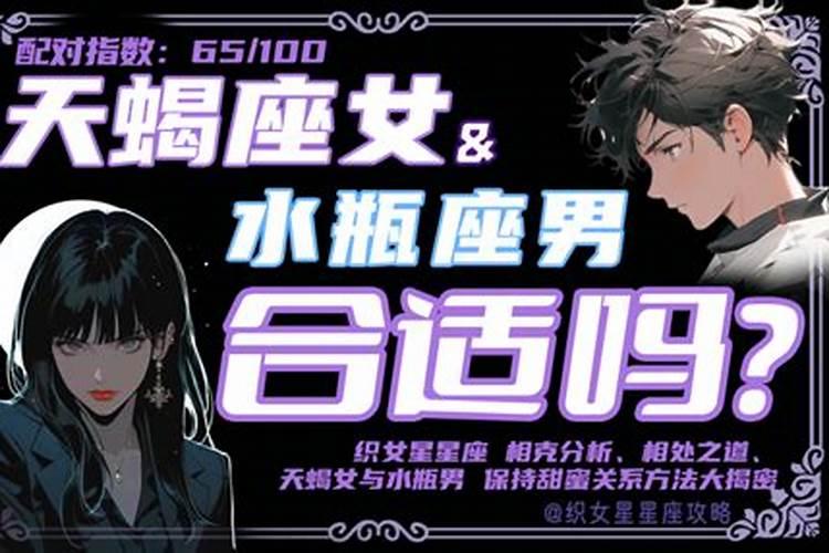 天蝎和水瓶恋爱合适吗