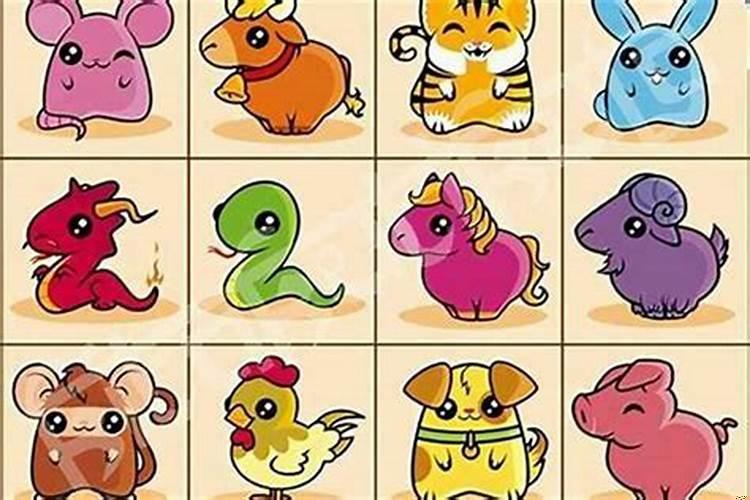 生肖中哪个生肖好看