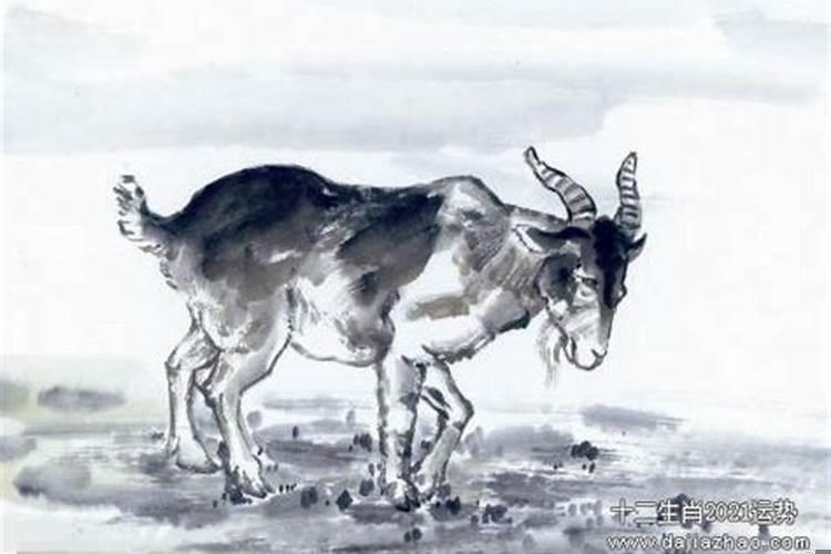 91年羊2015年运势如何