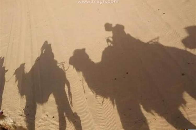 梦见自己和自己媳妇结婚是什么意思