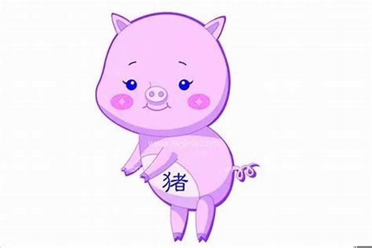 属猪女婚姻配什么生肖最好