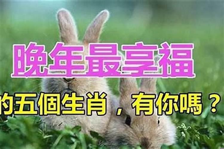 一生财运旺盛的生肖