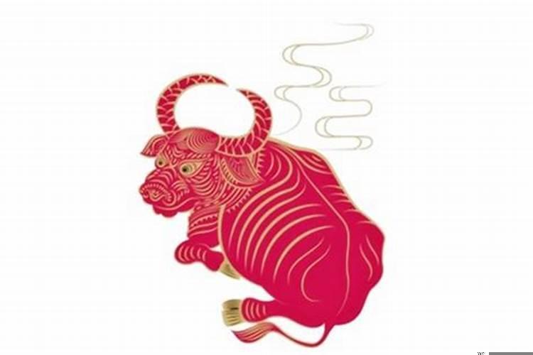 生肖牛的命运好不好?