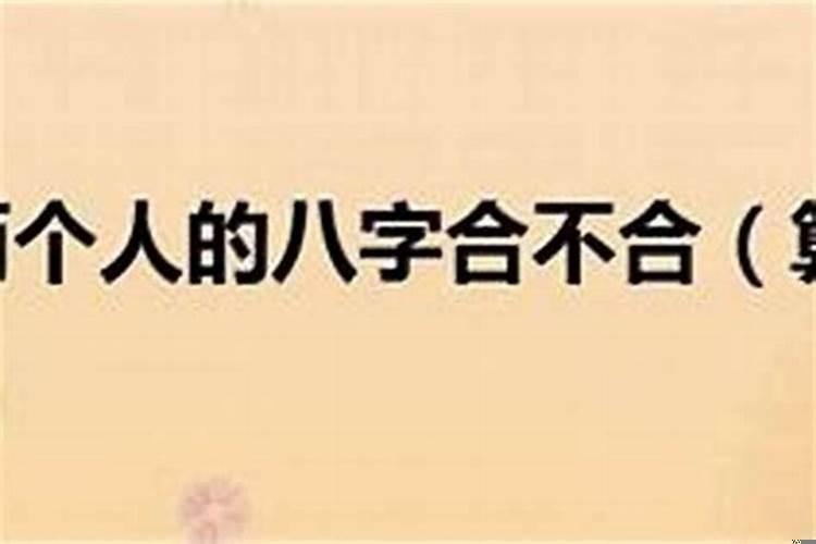 看两个人的八字合不合