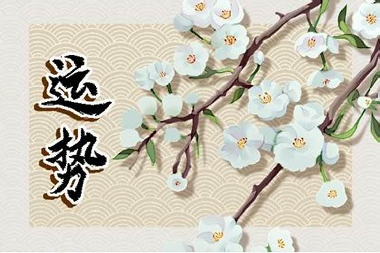 2025年91年属羊男婚姻