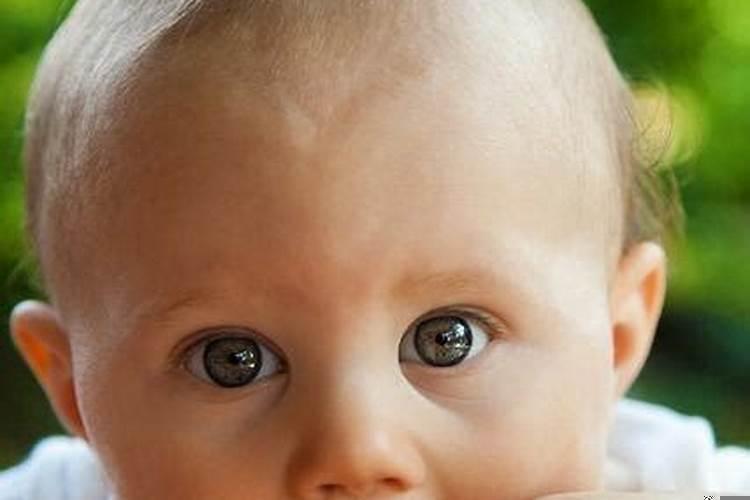 梦见咬人的小孩