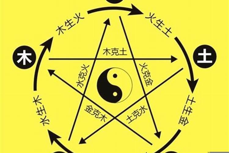 周易预测属于什么五行