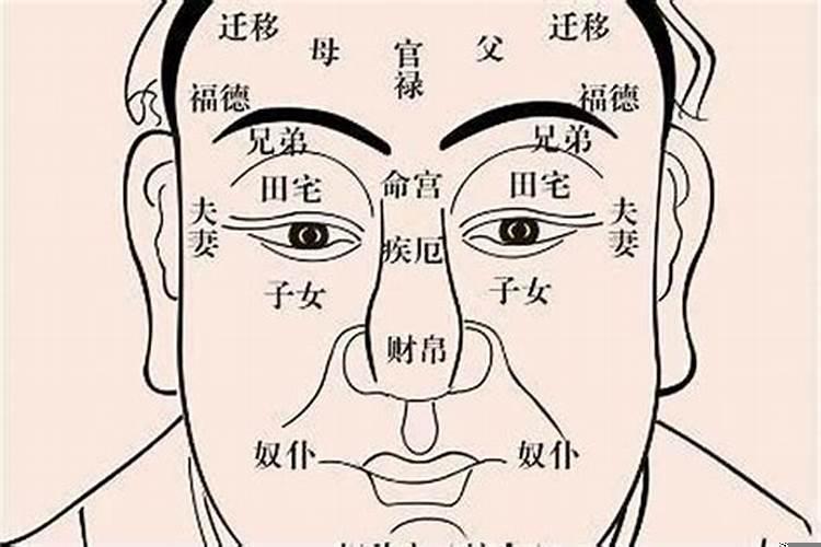 面相能看出来人的命运吗