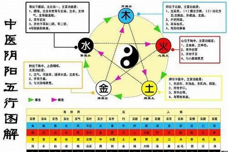 火生土土生金金生水水生木木生火