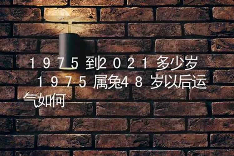 1974到2021是多少岁