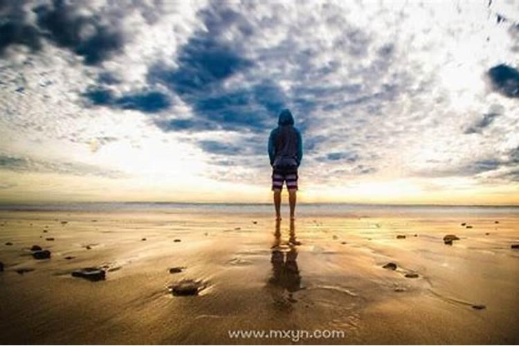 路上捡到一个乌龟有什么说法