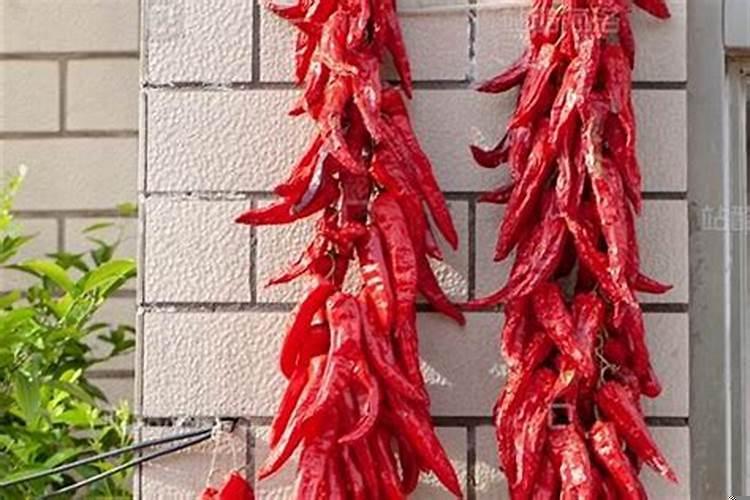 门口挂辣椒好吗