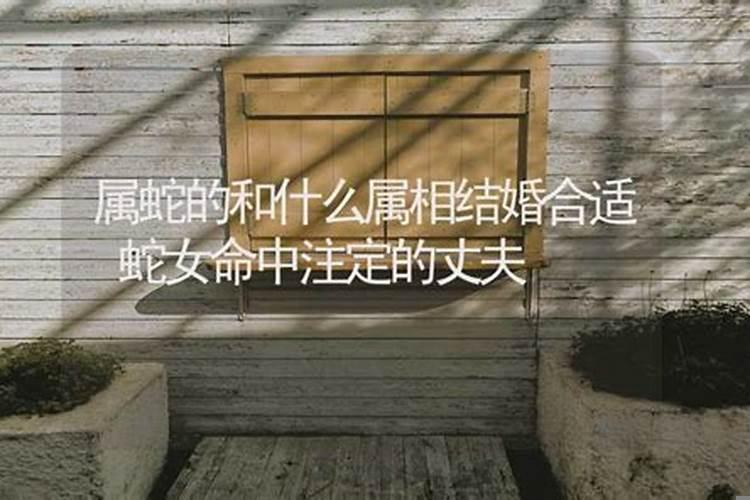 属蛇女适合什么时候结婚