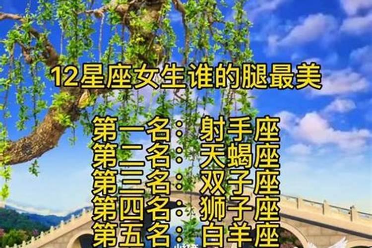 十二星座女生谁的腿最长