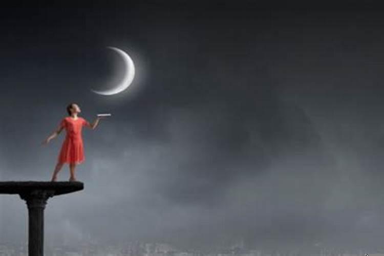 结婚当天晚上梦见蛇