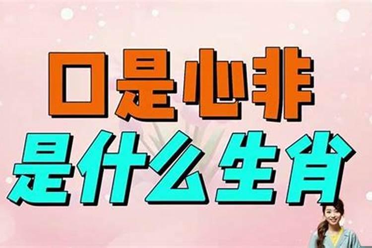 2007年出生的猪今年的运程