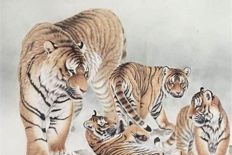 生肖虎的财运贵人