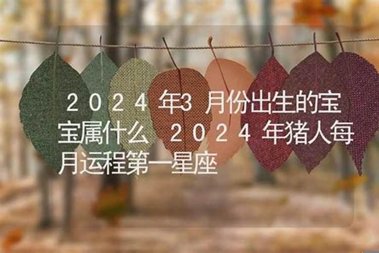 2025年3月份出生的宝宝是什么命