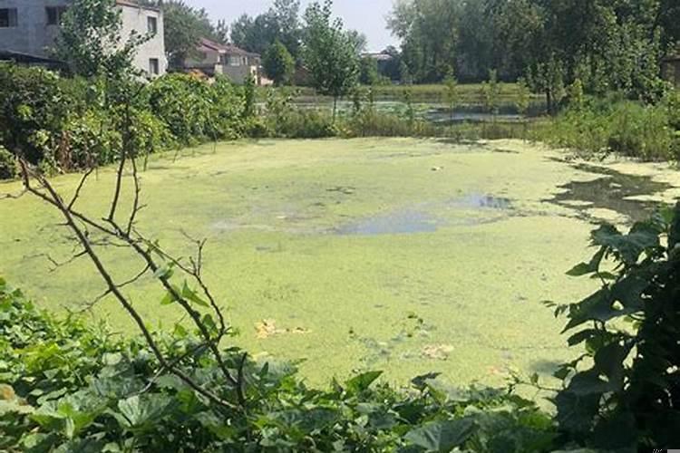 梦见和亲人一起回家