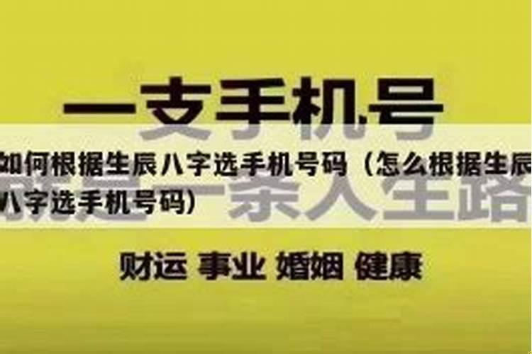 如何根据八字命理选手机号