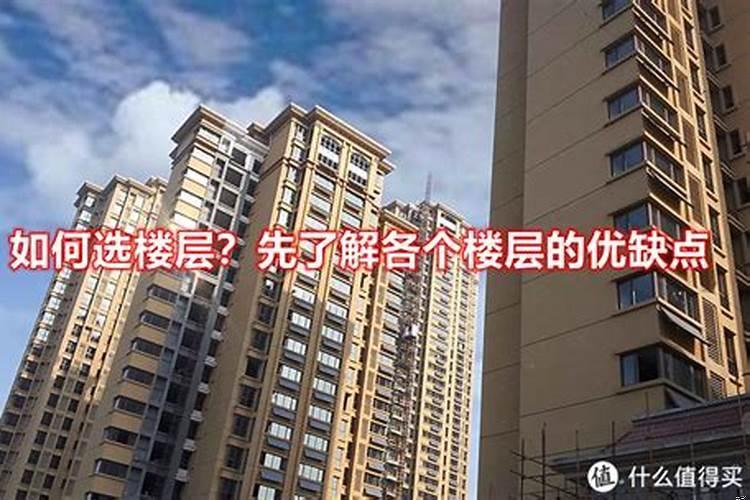 买房如何选楼层和户型