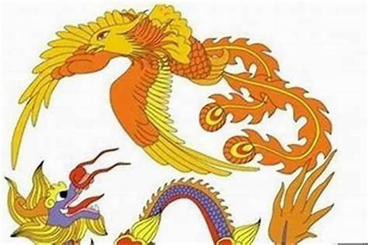 母属狗儿子属龙好不好