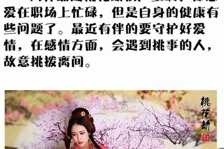 注定有桃花劫的生肖女