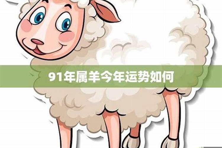 91年羊2015年运势如何