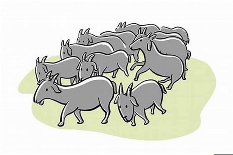 属羊的女生和什么生肖最配男生