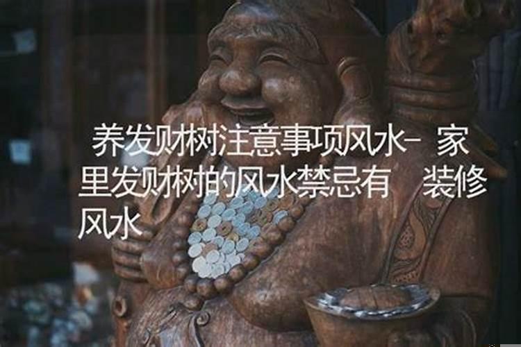 有横财的房子风水特点